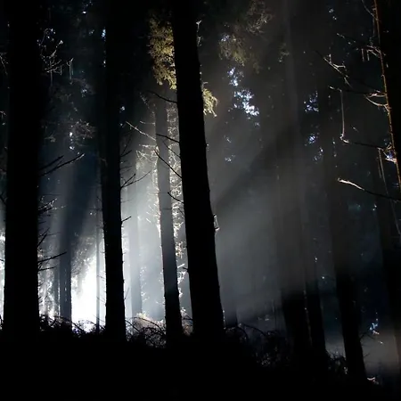 Quartier26 منزل للإقامة نورنبيرغ